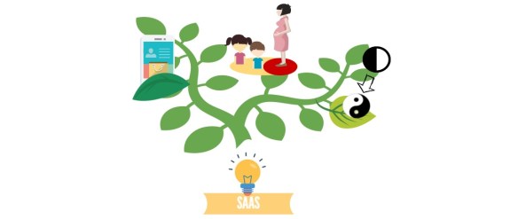 co mozna robic w oparciu o istniejacy saas